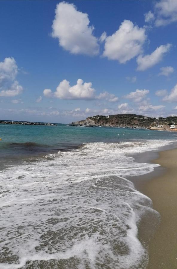 La Bicocca Di Annavi Bed & Breakfast Forio di Ischia Eksteriør bilde