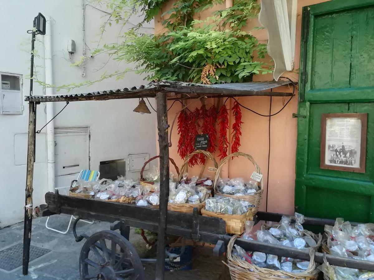 La Bicocca Di Annavi Bed & Breakfast Forio di Ischia Eksteriør bilde