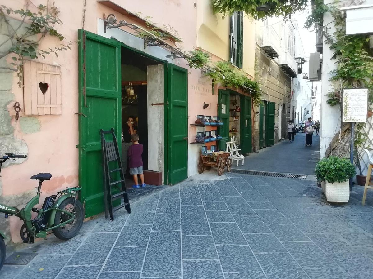La Bicocca Di Annavi Bed & Breakfast Forio di Ischia Eksteriør bilde