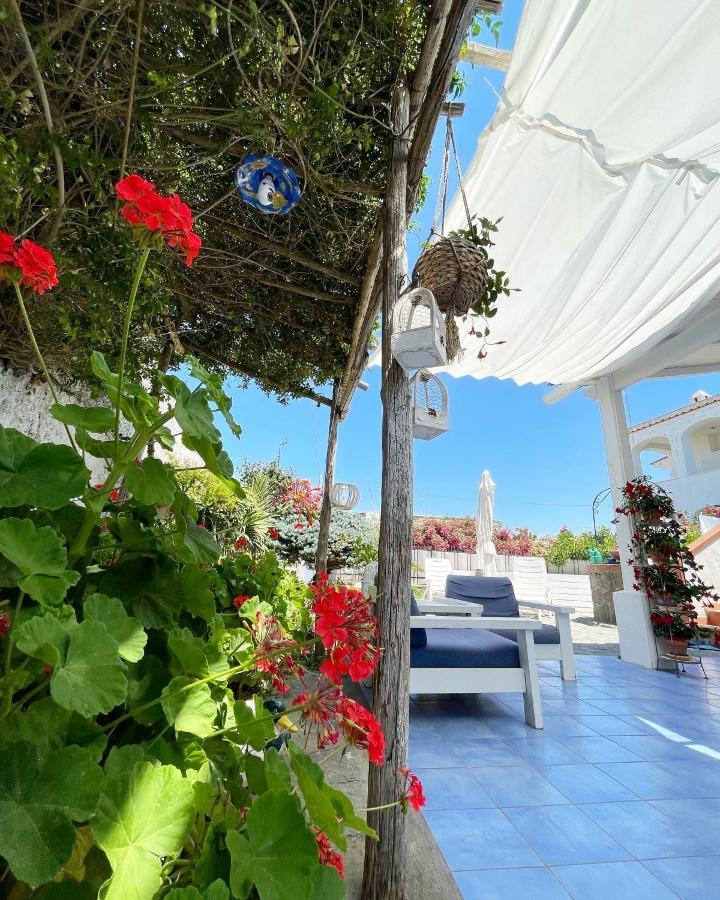 La Bicocca Di Annavi Bed & Breakfast Forio di Ischia Eksteriør bilde
