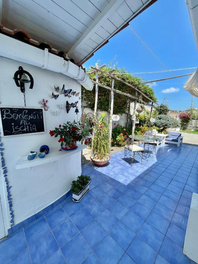 La Bicocca Di Annavi Bed & Breakfast Forio di Ischia Eksteriør bilde