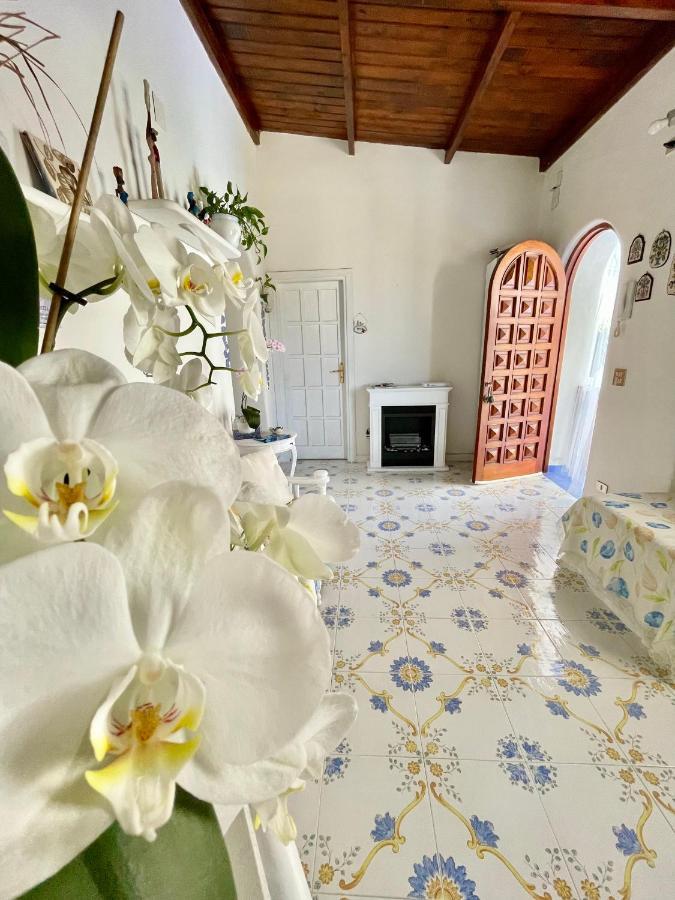 La Bicocca Di Annavi Bed & Breakfast Forio di Ischia Eksteriør bilde