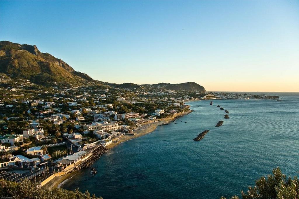 La Bicocca Di Annavi Bed & Breakfast Forio di Ischia Eksteriør bilde